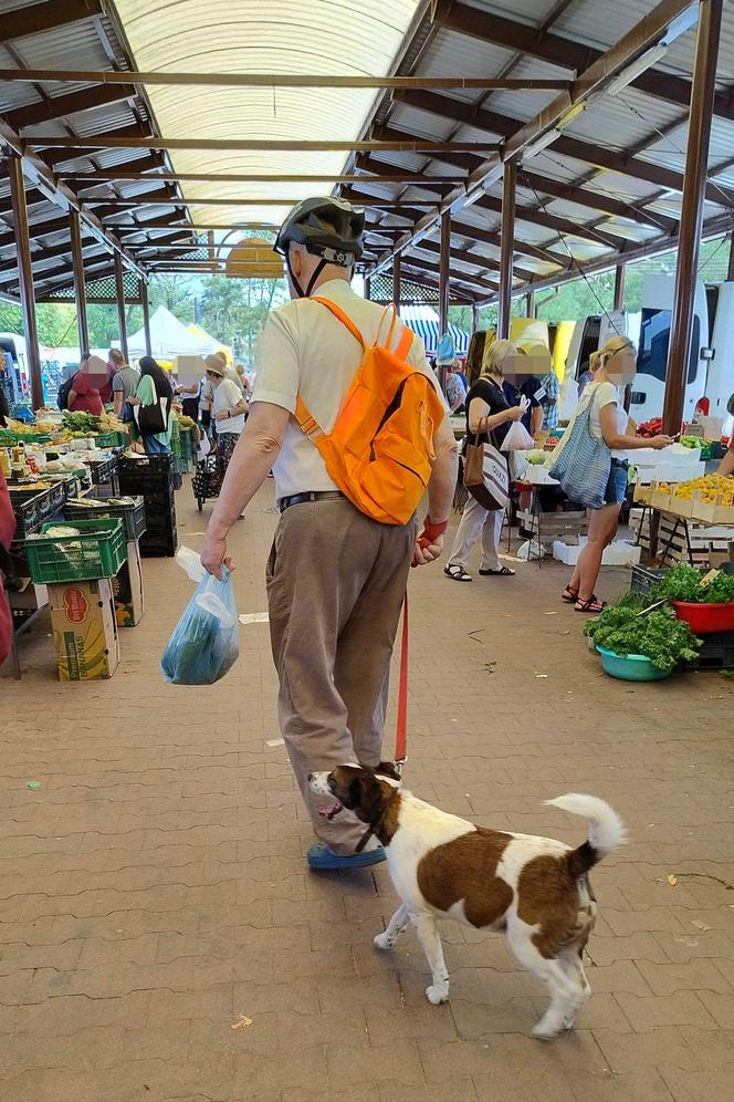 Korwin-Mikke na zakupach