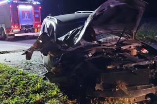 Śmigłowiec przyleciał pod dwoje dzieci! To ofiary koszmarnego wypadku pod Zgierzem [ZDJĘCIA]