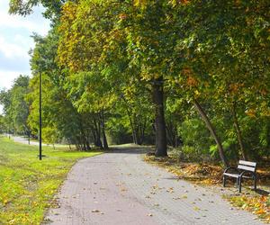 Zobacz jak wygląda największy park miejski w Polsce