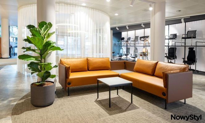 Nowy styl - salony i showroomy