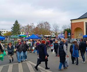 1 listopada na Cmentarzu Centralnym w Szczecinie