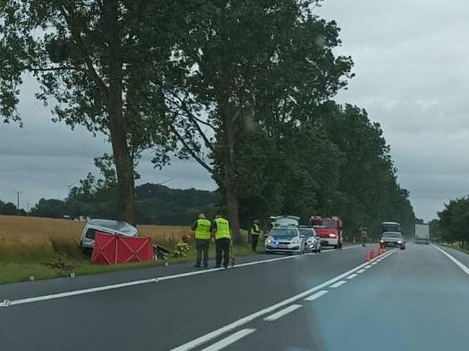 Tragiczny wypadek pod Sławnem. Citroen roztrzaskał się na drzewie