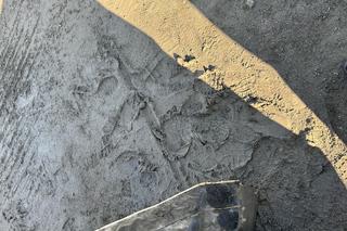 Fogo Unia Leszno - KS Apator Toruń, zdjęcia z meczu 9. kolejki PGE Ekstraligi