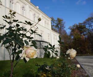 Pałac w Baranowicach jesienią