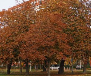 Co można robić w weekend w Białymstoku? Sprawdź, co oferuje miasto. Plan imprez i wydarzeń