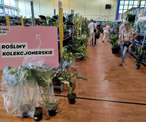 Festiwal Roślin 2025 w Siedlcach