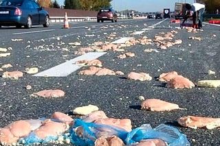 Deszcz mrożonego mięsa na autostradzie A4. Nietypowe skutki kolizji pod Krakowem