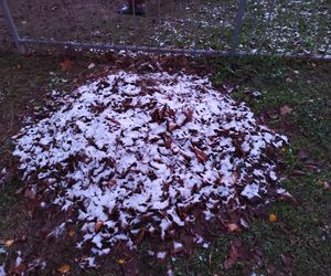 Pierwszy śnieg spadł w Poznaniu i okolicach