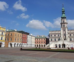 Na Rynku Wielkim w Zamościu mają pojawić się drzewa. Będą rosły w donicach