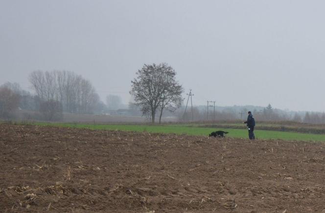 Straty sięgają 10 tys. złotych