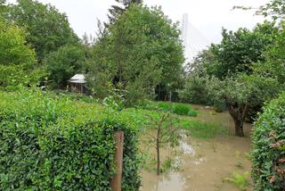 Przemyśl: San zalał ogródki działkowe i ścieżki rowerowe