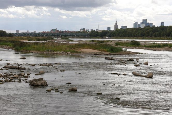 Rekordowo niski stan wody w Wiśle w Warszawie (23.08.2025)