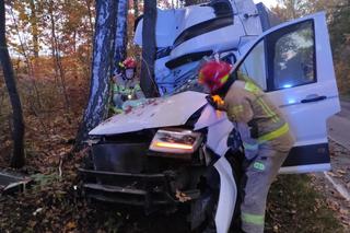 Kierowca cudem przeżył! Na drogę wyskoczyły mu nagle dziki