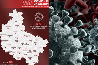 Koronawirus w Wielkopolsce. Dobre wieści! Tyle osób WYGRAŁO z zarazą!