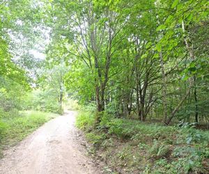 Bieszczady nie tylko na Podkarpaciu? Malowniczy region po drugiej stronie Polski 