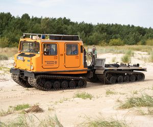 Balex Delta 2025