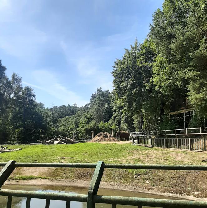 Ważna misja ogrodów zoologicznych