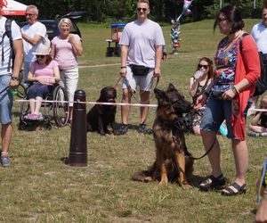 Psia radość i ludzkie serca. Myślęcinek pełen dobrych ludzi i ich czworonogów