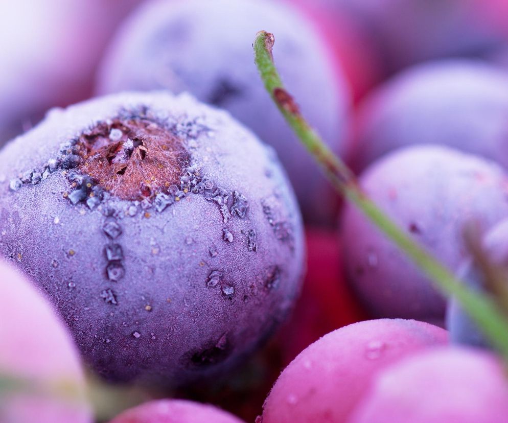 Sięgaj po nie zimą, a podziękujesz sobie później. Lepsze z supermarketu czy mrożone?