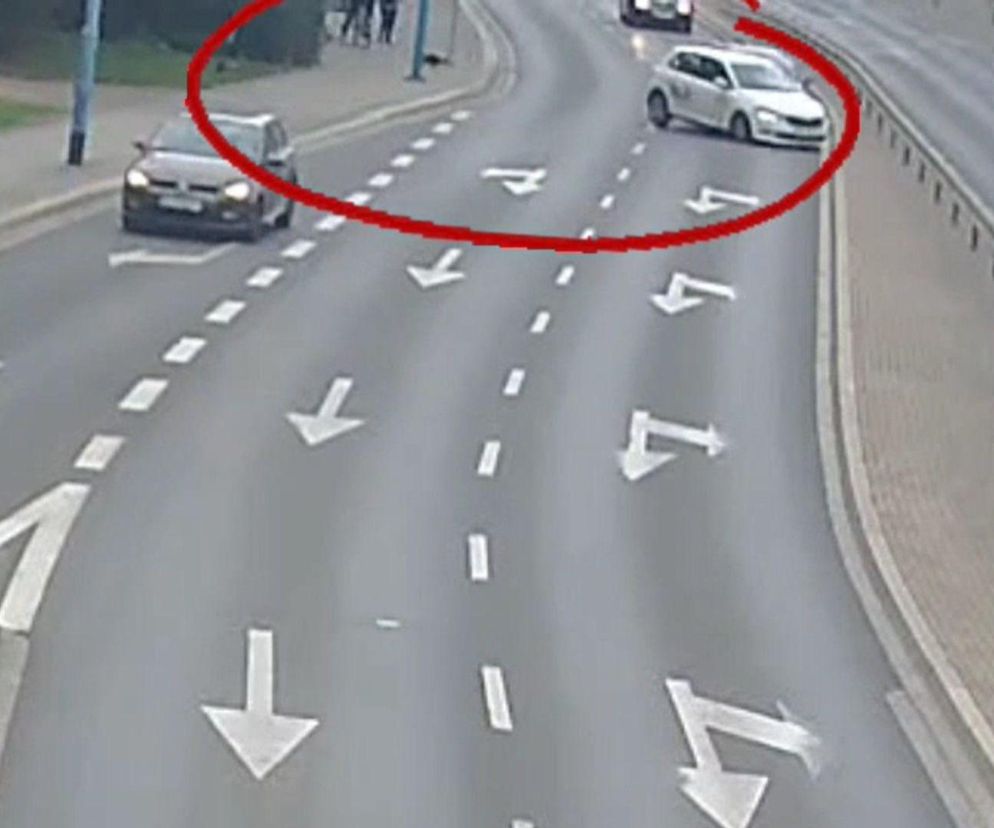 Pies wbiegł na ulicę, auta rozbite. Niebezpieczna sytuacja w Legnicy