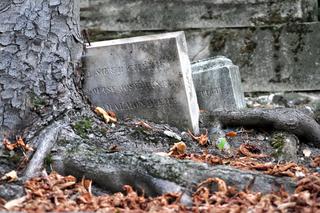 Cmentarz żydowski w Wodzisławiu Śląskim