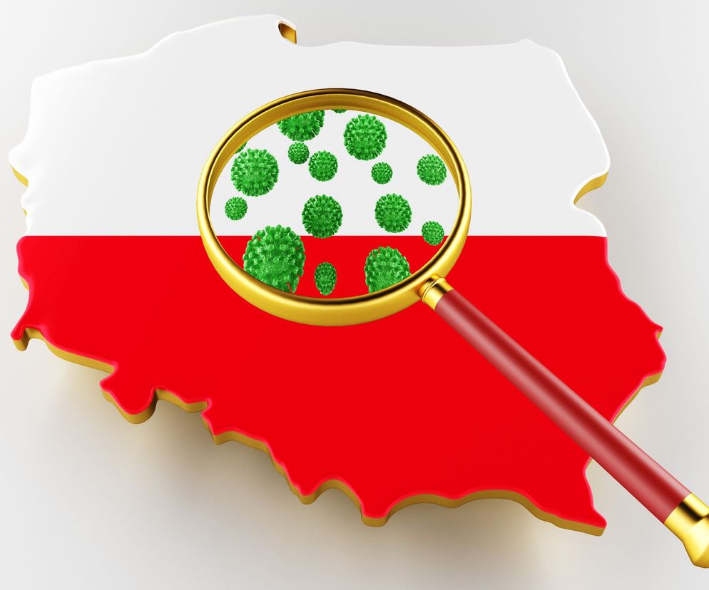 Mapa Polski w barwach biało-czerwonych z korpusem złotej lupy powiększającej zielone wirusy, symbolizujące COVID-19 i zwiększone restrykcje. Kontekst artykułu o czerwonej strefie w Polsce na Poradnik Zdrowie.