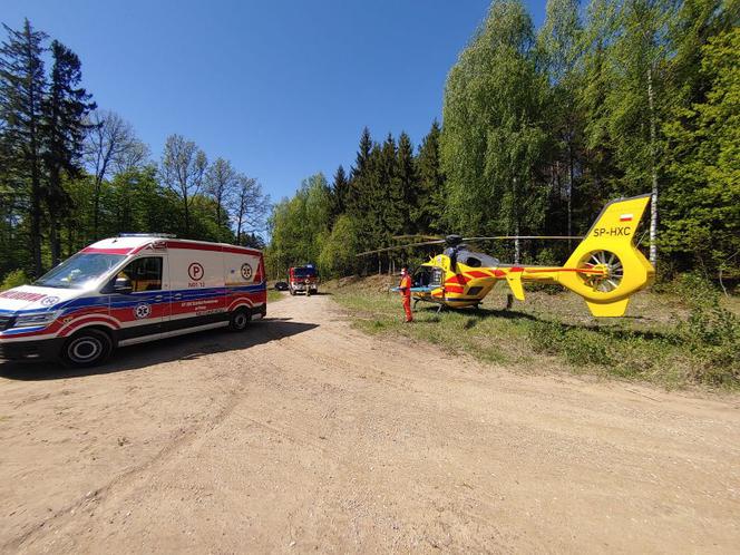 Tragiczny wypadek podczas prac leśnych w gminie Orzysz