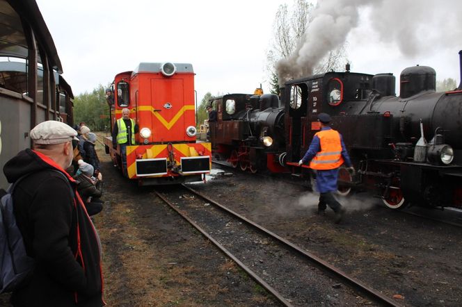 Górnośląskie Koleje Wąskotorowe świętują 170. urodziny. Przygotowano niezwykłe atrakcje. Przed nami m.in. parada lokomotyw