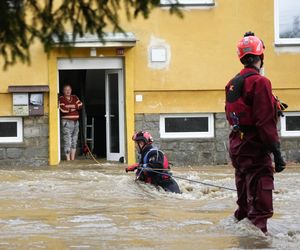 Burmistrz wyjechała na drogie wakacje, w tym czasie jej miasteczko zalała wielka fala. Nie wrócę