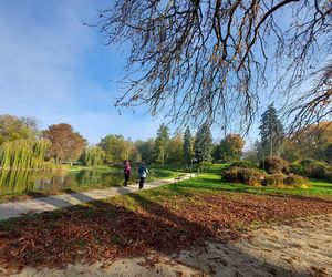 Zamojski Park jesienią