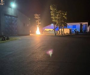 ​Groźna sytuacja na terenie fermy drobiu