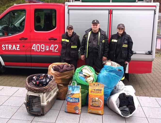 Wyjątkowa akcja strażaków z OSP Milcz w pilskim schronisku