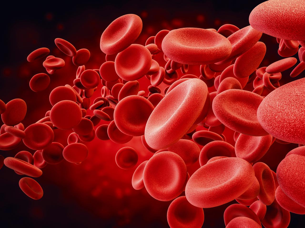 To najrzadsza grupa krwi na świecie! Złotą krew mają tylko 43 osoby