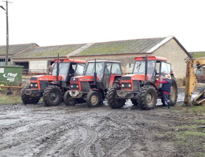 Polo plotki. Jestem rolnikiem, mówię ci