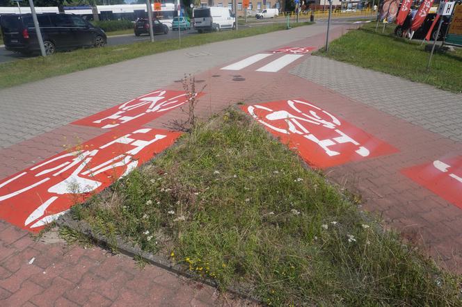 Najbardziej nietypowa ścieżka rowerowa w Szczecinie