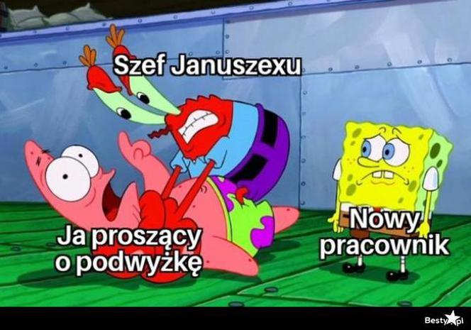 Memy o pracy