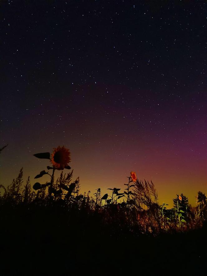 Światowy Dzień Fotografii. Z tych fotek są dumni nasi Czytelnicy! ZOBACZ