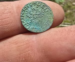 W okolicy Jadowa poszukiwacze znaleźli prawie pół tysiąca szelągów Jana II Kazimierza Wazy