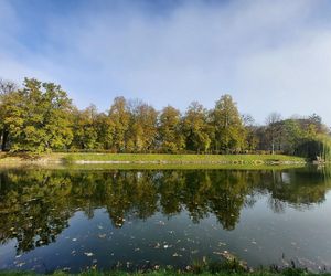 Zamojski Park jesienią