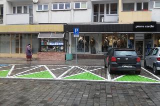 Wrocław: Wojna o zielone koperty dla samochodów elektrycznych. Czy są nielegalne? Czy za parkowanie na nich zostaniemy ukarani? [AUDIO]