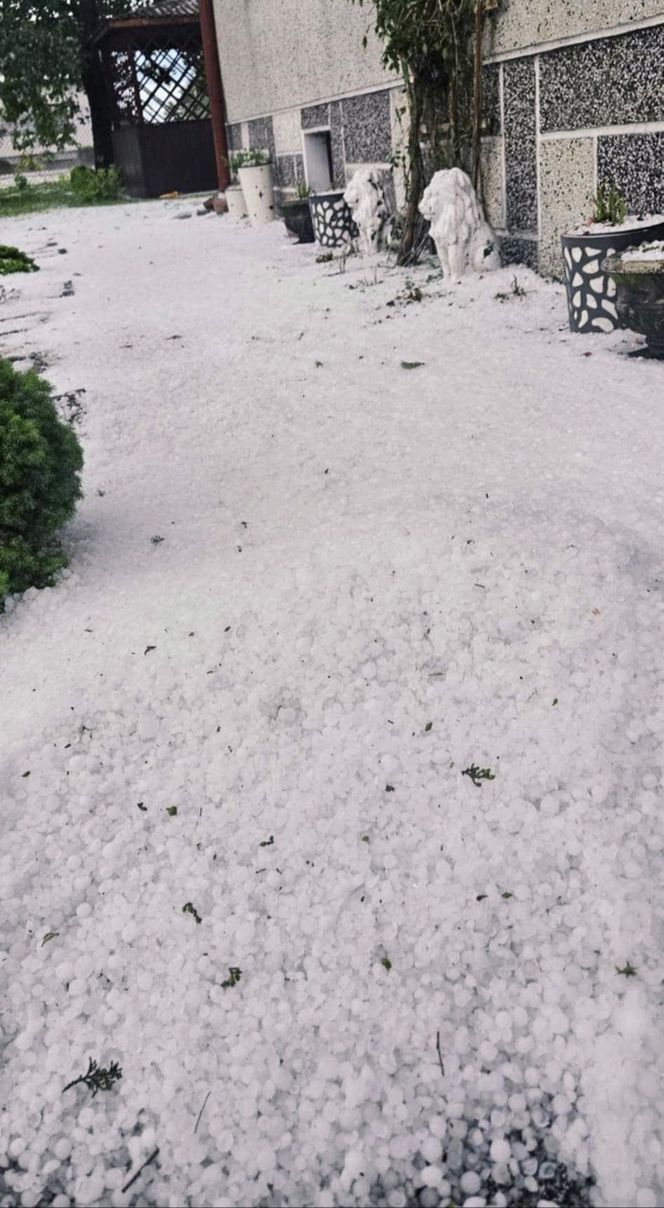 Katastrofalne skutki burz w powiecie zawierciańskim