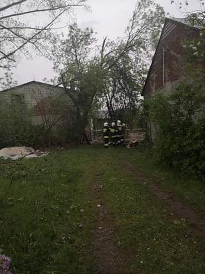 TRĄBA POWIETRZNA powietrzna w Łódzkiem. ZOBACZ Jakie szkody wywołał żywioł? [FOTO, WIDEO]