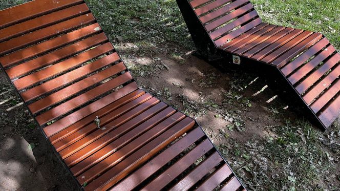 Park Lawendowy na osiedlu TBS w Białymstoku