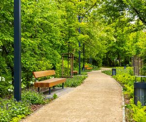 Park linearny przy ul. Suwak w Warszawie