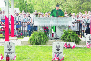 Cześć ochotnikom Błękitnej Armii