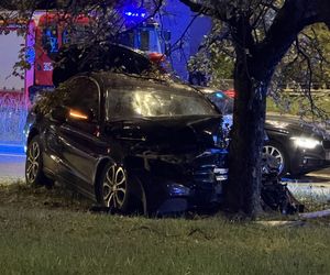Kierowca Mercedesa pod wpływem wjechał w filar wiaduktu, odbił się i huknął w drzewo