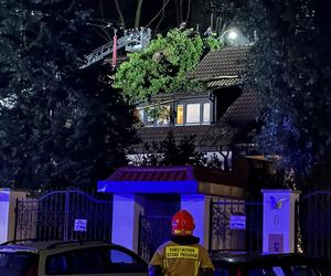 Gigantyczne drzewo runęło do dom jednorodzinny. Dramatyczna akcja ratunkowa w Warszawie