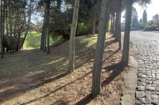 Jak nazwać zapomnianą łódzką rzekę?