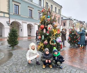  Zamojskie przedszkola i szkoły dekorowały choinki