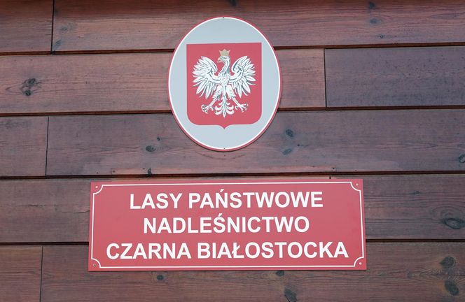 W Puszczy Knyszyńskiej pojawił się niedźwiedź. Ludzie się boją